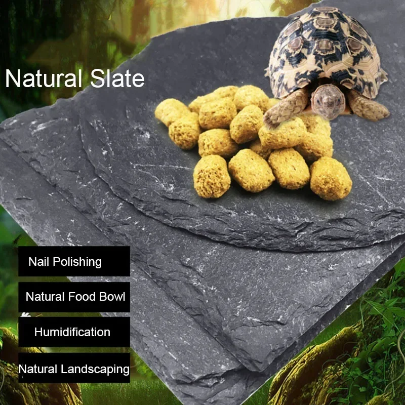 Aquarium Fish Jar - Natural Slate Aquarium Pet Reptile Feeder