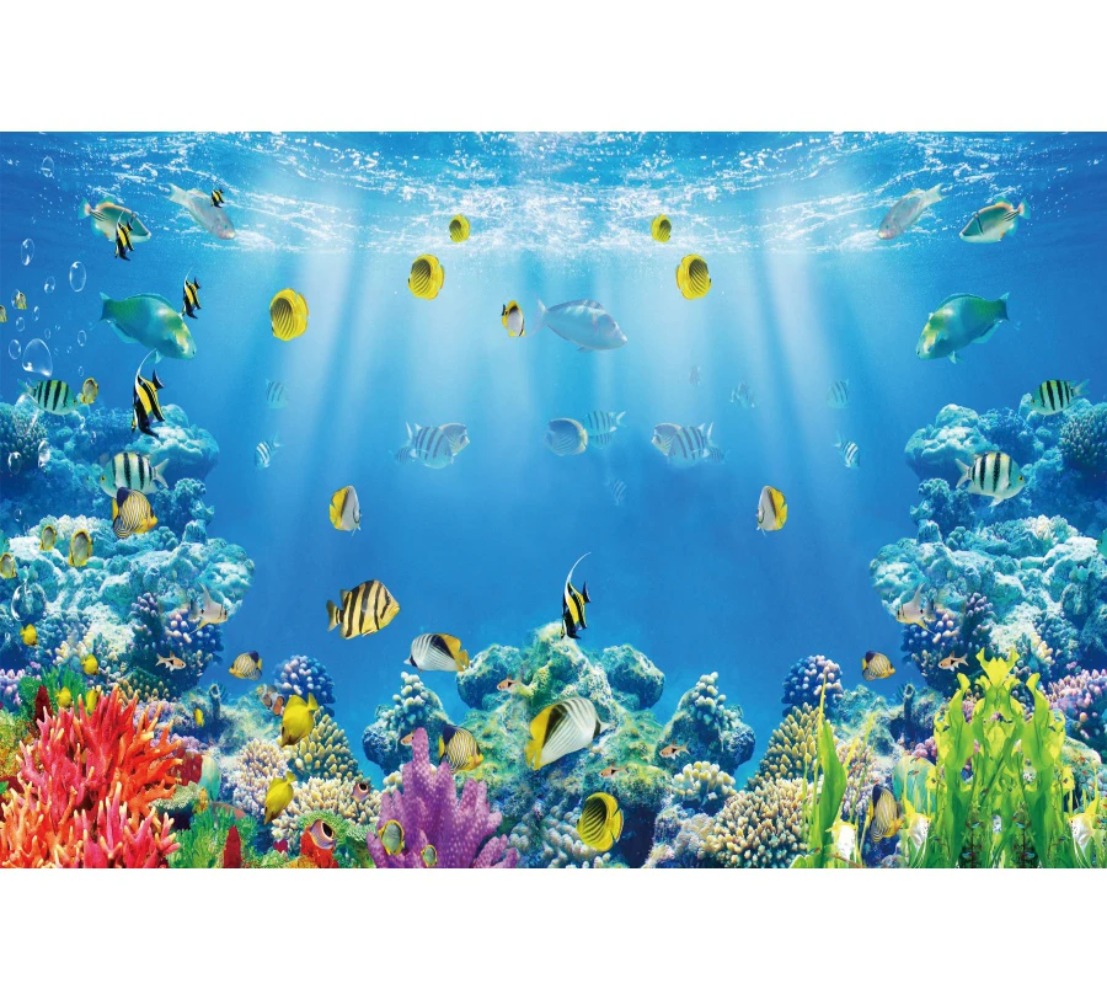 Underwater World Fish Coral Aq - Aquarium Fish Of The World review and price