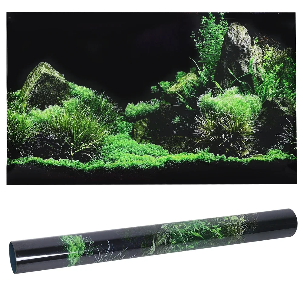 Background for Aquarium 3d Sti - Aquarium Fish Poster review and price