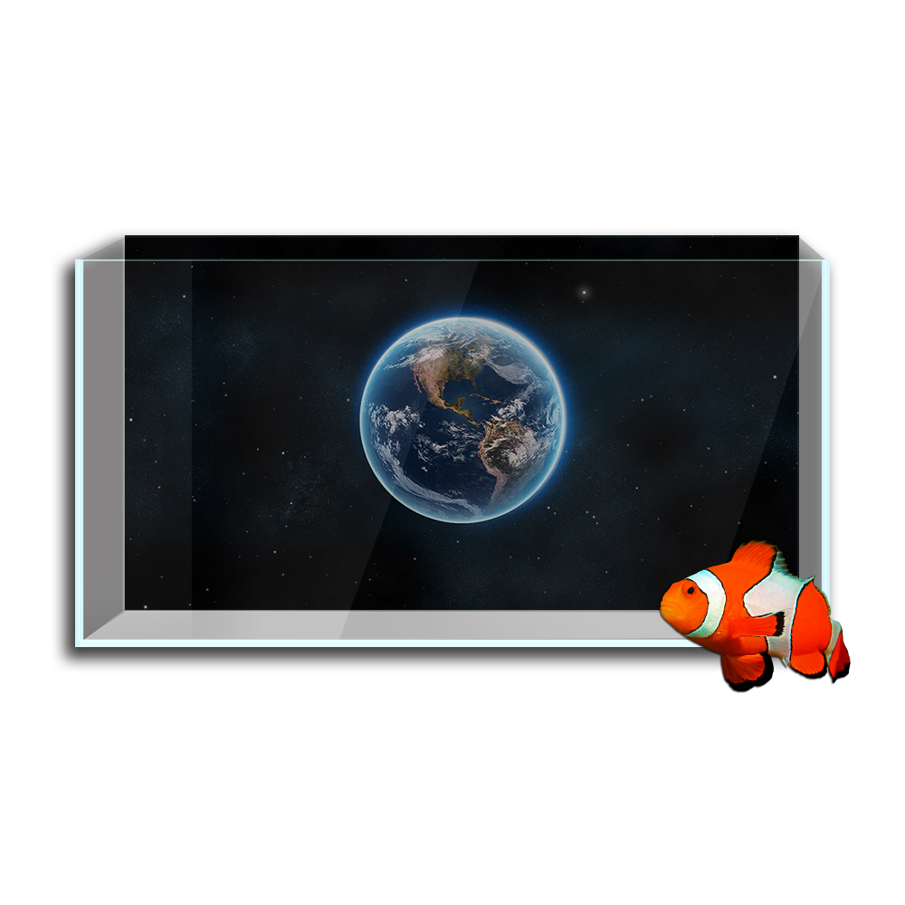 Aquarium Fish Tank  Background - Aquarium Fish Poster review and price