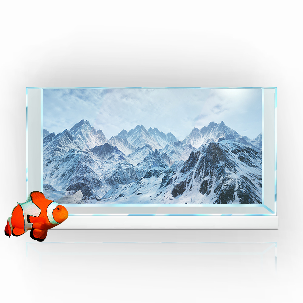 Aquarium Background Sticker,   - Aquarium Fish Poster review and price