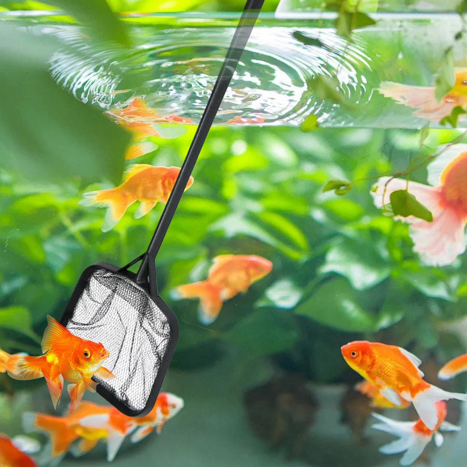 Pool Nets for Cleaning Portabl - Aquarium Fish Maintenance review and price