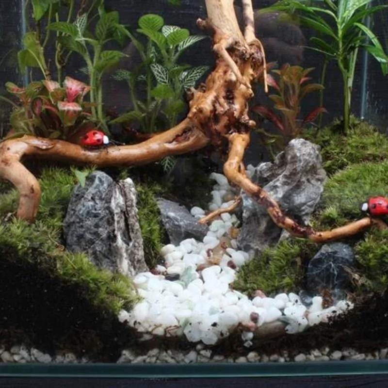 Natural Tree Trunk Driftwood A - Aquarium Fish Hiding Places review and price