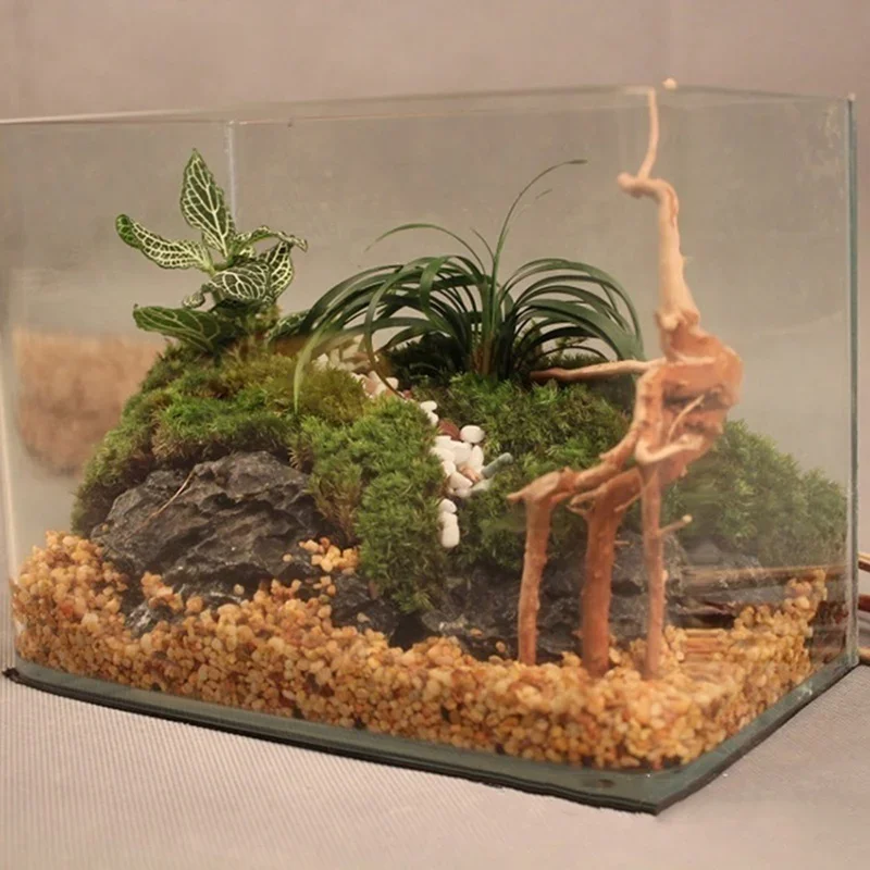 Natural Tree Trunk Driftwood A - Aquarium Fish Hiding Places review and price