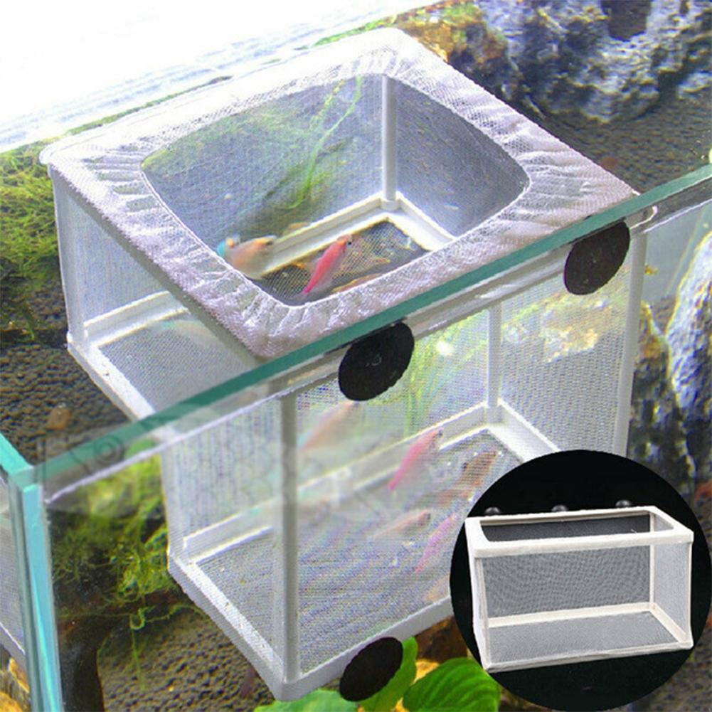 Aquarium Fish Breeder Box with - Aquarium Fish Jar review and price