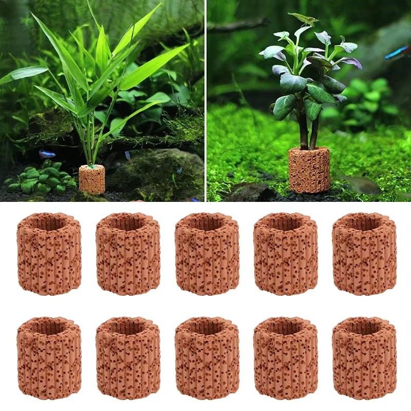 Aquatic Plant Fixed Ring for A - Aquarium Fish Hiding Places review and price