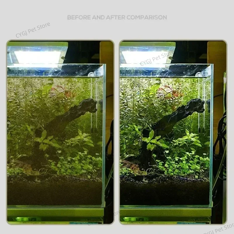 Fish Tank Cleaning Tool Flat S - Aquarium Fish Maintenance review and price