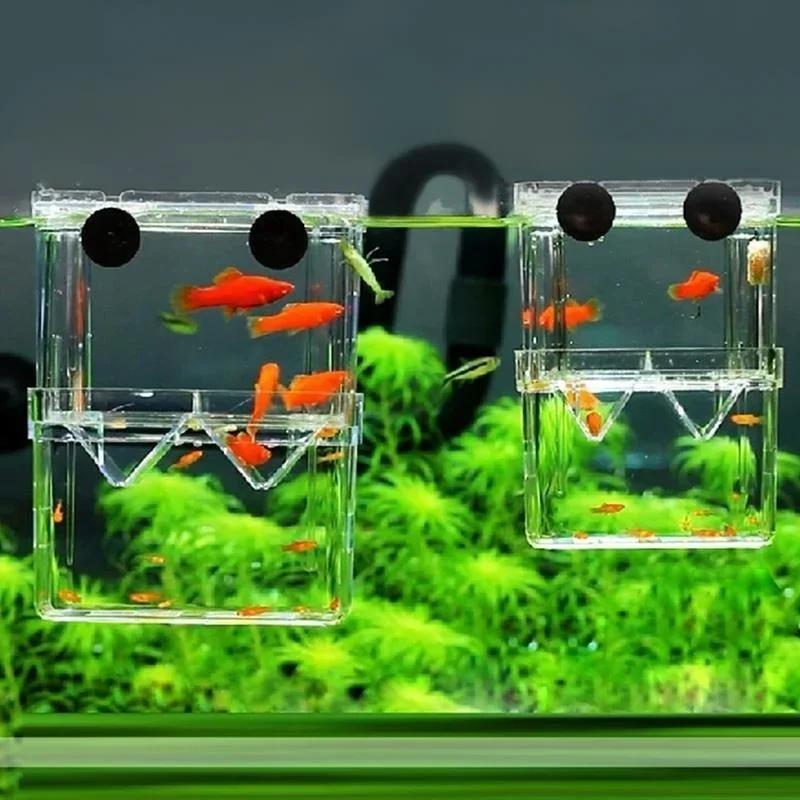 Transparent Fish Aquarium High - Aquarium Fish Jar review and price
