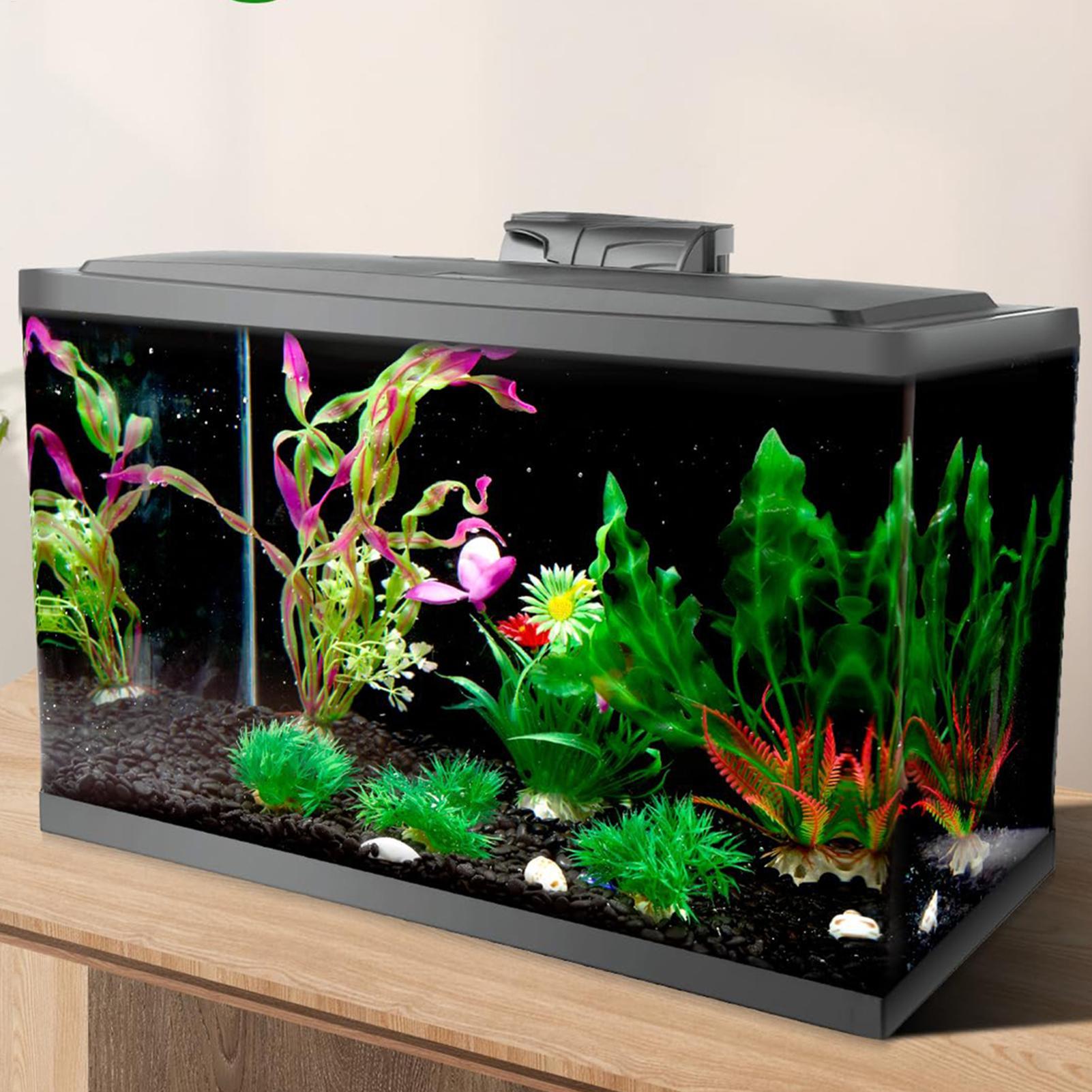 Black Aquarium Background Stat - Aquarium Fish Poster review and price