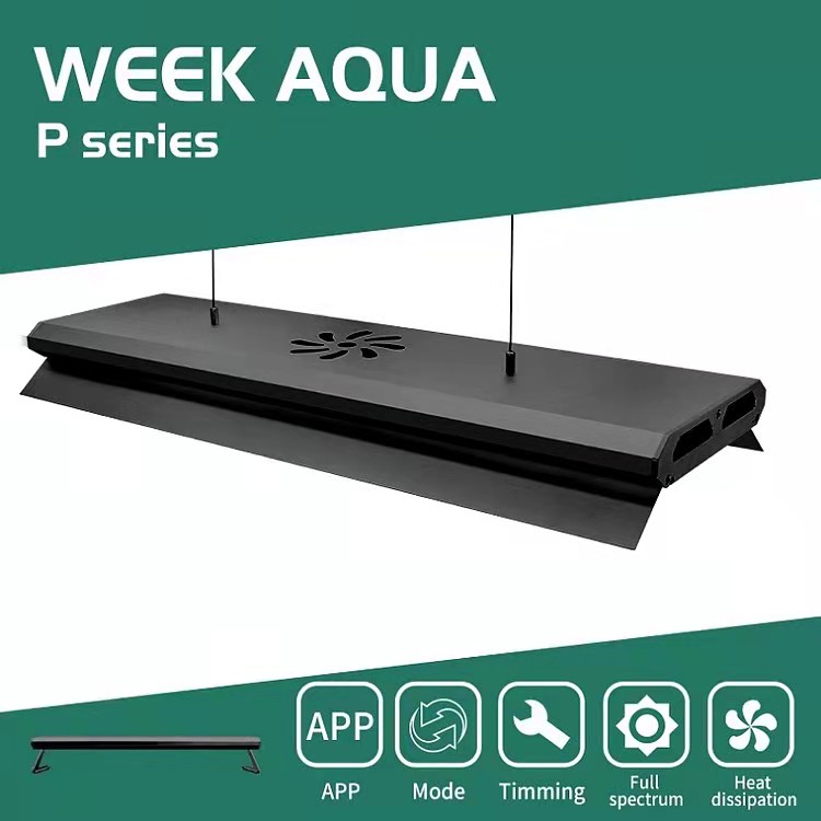 APP Control Adjustable Height  - Aquarium Fish Big Size review and price