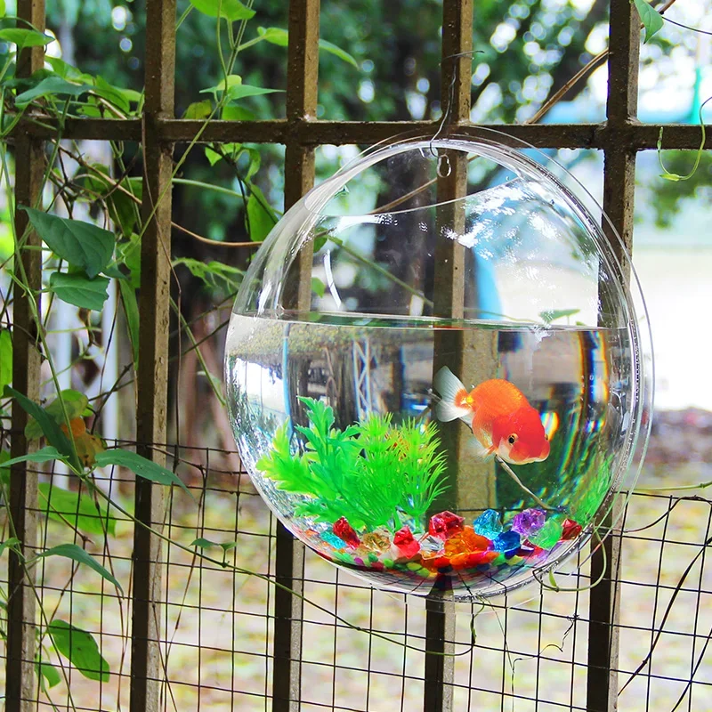 Pinsjar Acrylic Fish Bowl Wall - Aquarium Fish Jar review and price