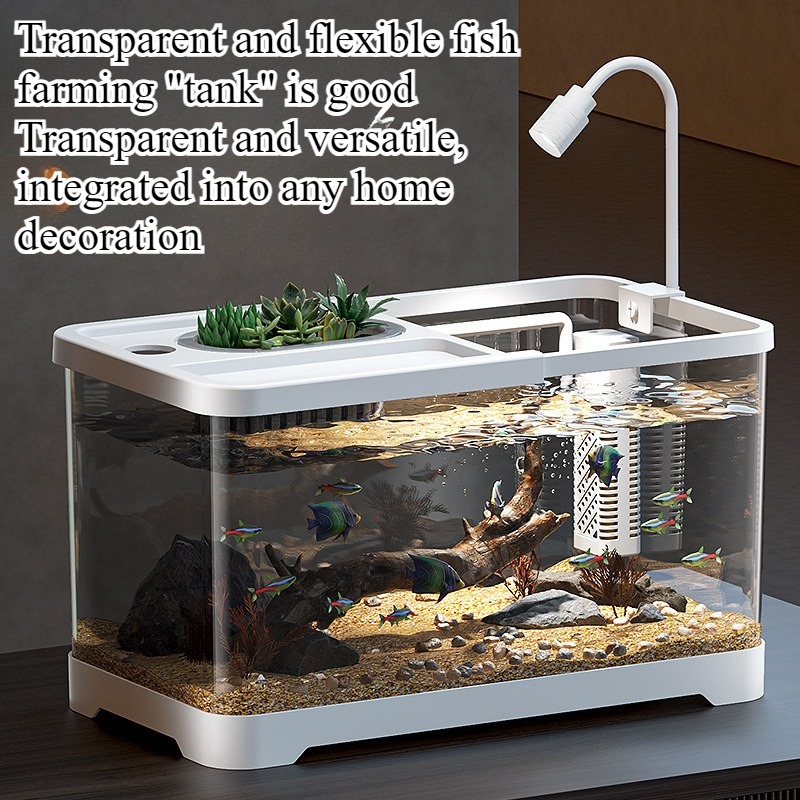 Fish tank household aquarium l - Aquarium Fish Jar review and price