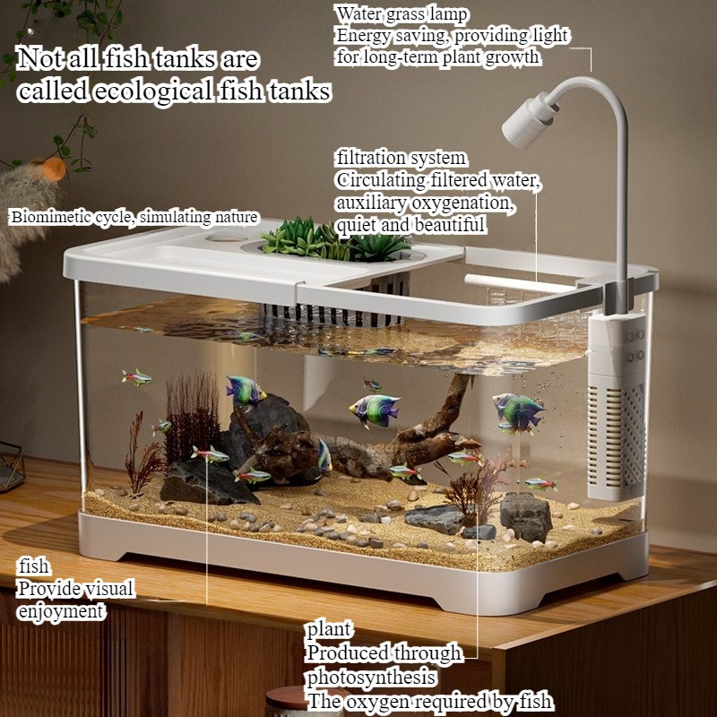 Fish tank household aquarium l - Aquarium Fish Jar review and price