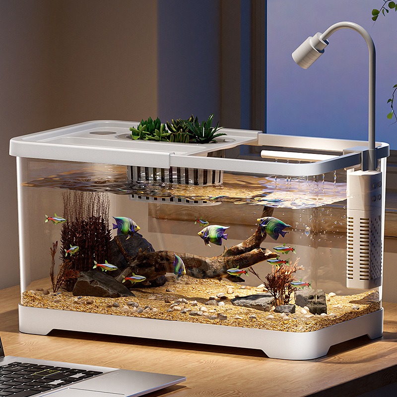Fish tank household aquarium l - Aquarium Fish Jar review and price
