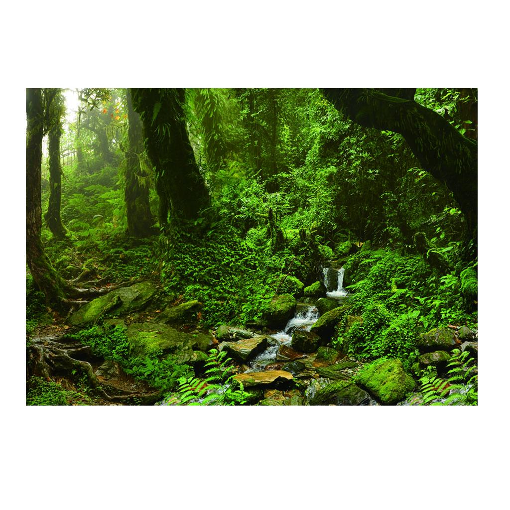 Aquarium Backdrop Poster Vivid - Aquarium Fish Poster review and price