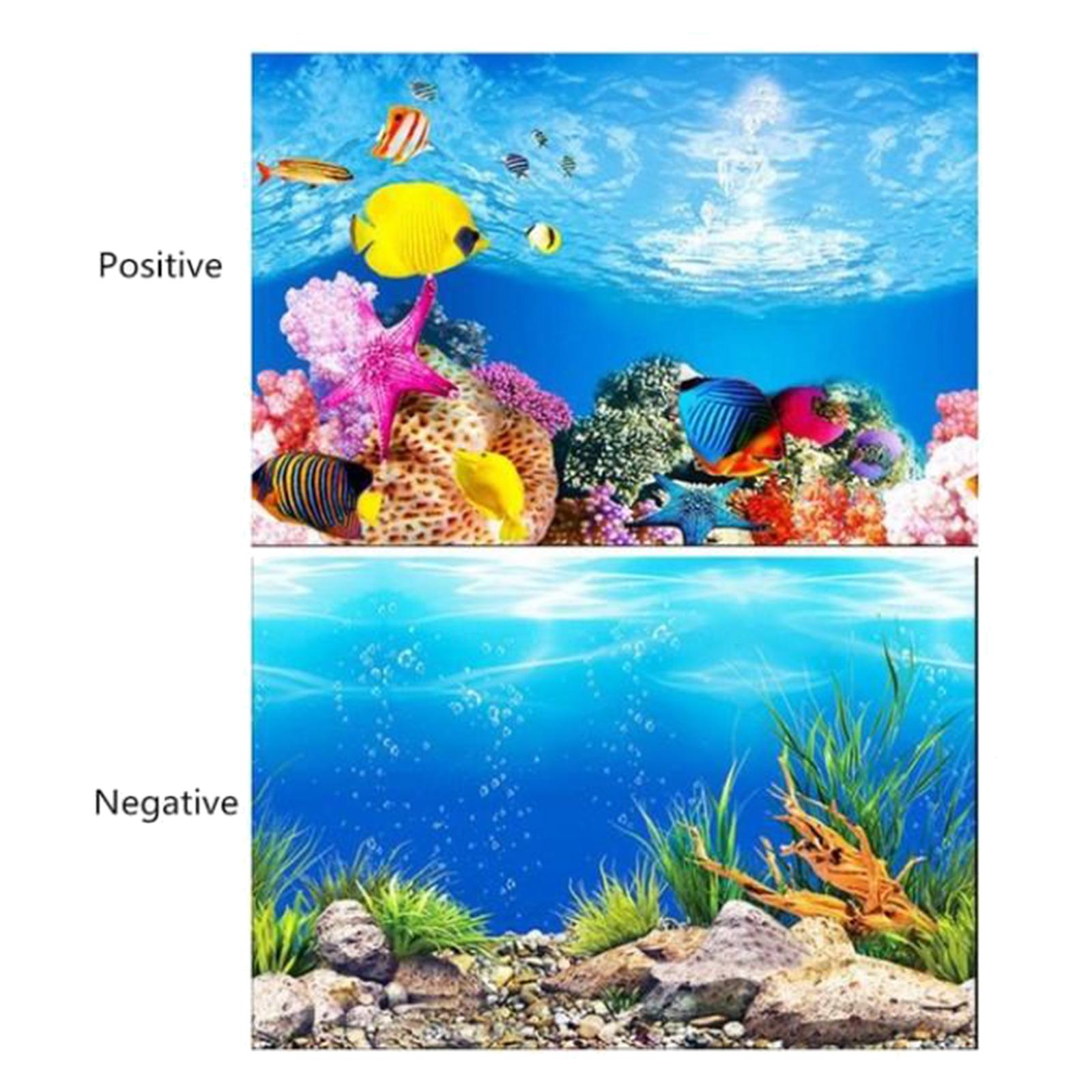 3D Effect Aquarium Background  - Aquarium Fish Poster review and price