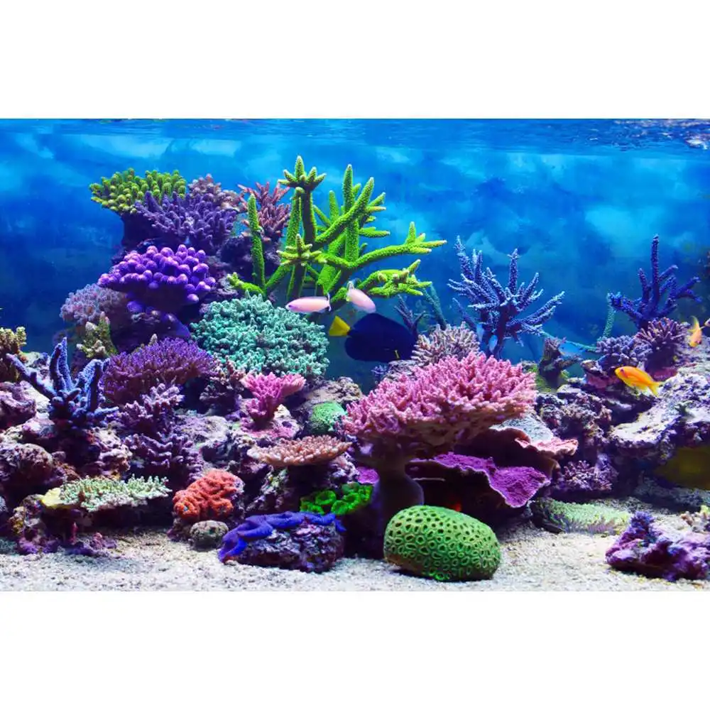 Underwater World Seabed Backdr - Aquarium Fish Of The World review and price