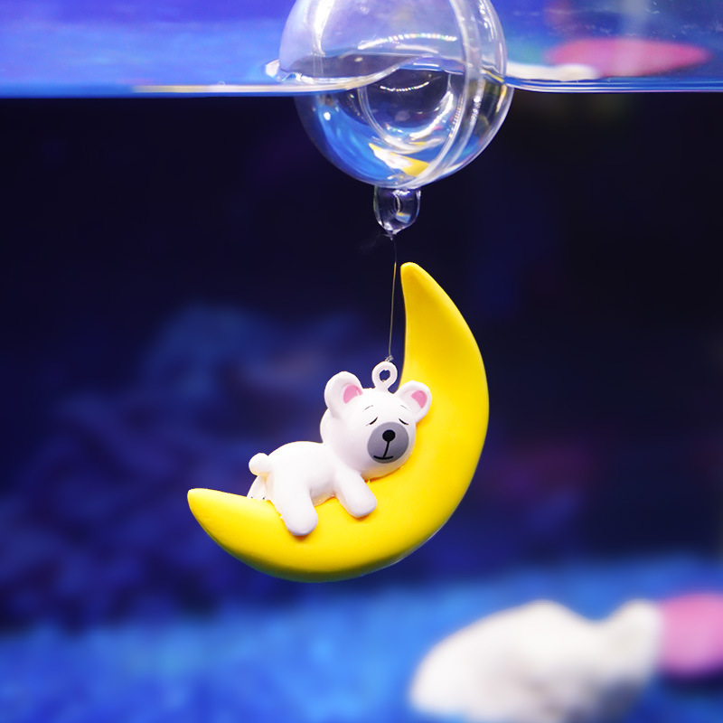 Aquarium Lovers Moon Bear Dive - Aquarium Fish Of The World review and price
