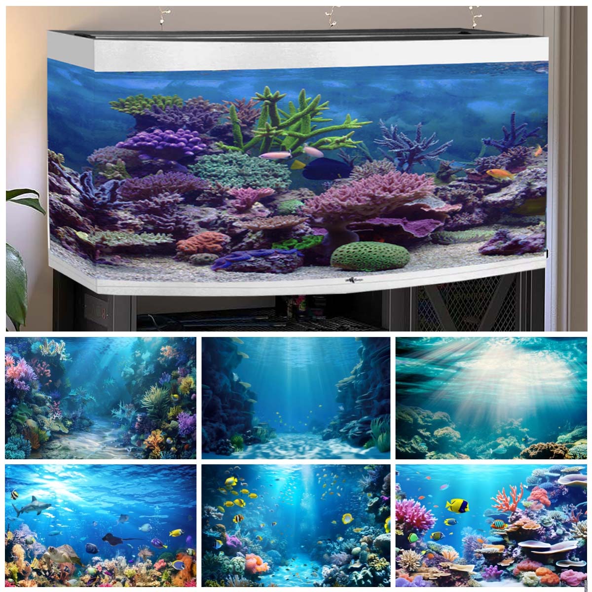 Underwater World Backgrounds f - Aquarium Fish Of The World review and price