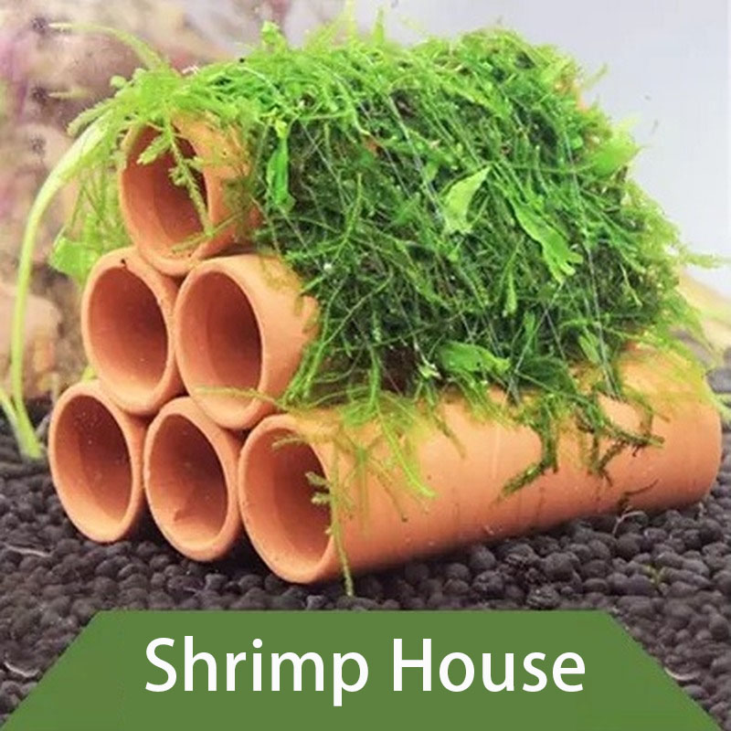 Clay Aquarium Decoration Fish  - Aquarium Fish Hiding Places review and price