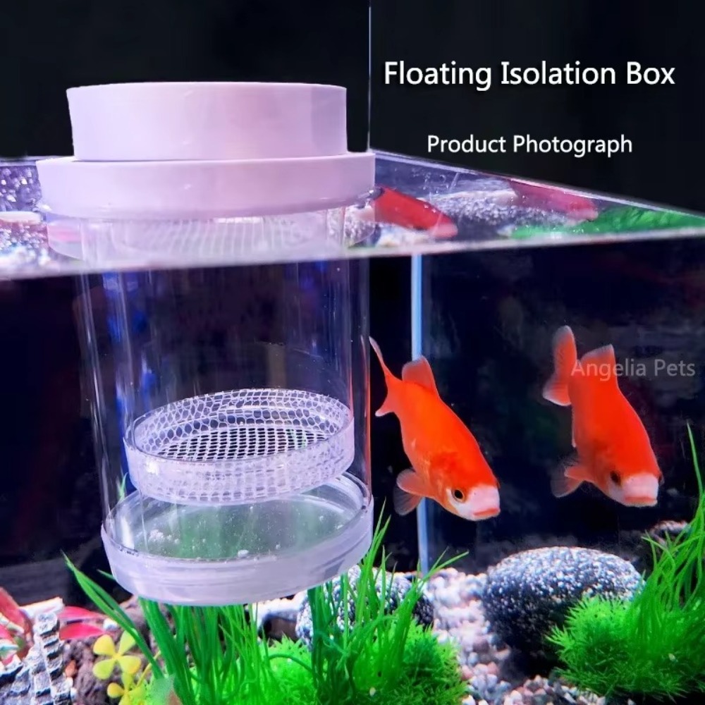 Plastic Floating Fish Breeding - Aquarium Fish Jar review and price