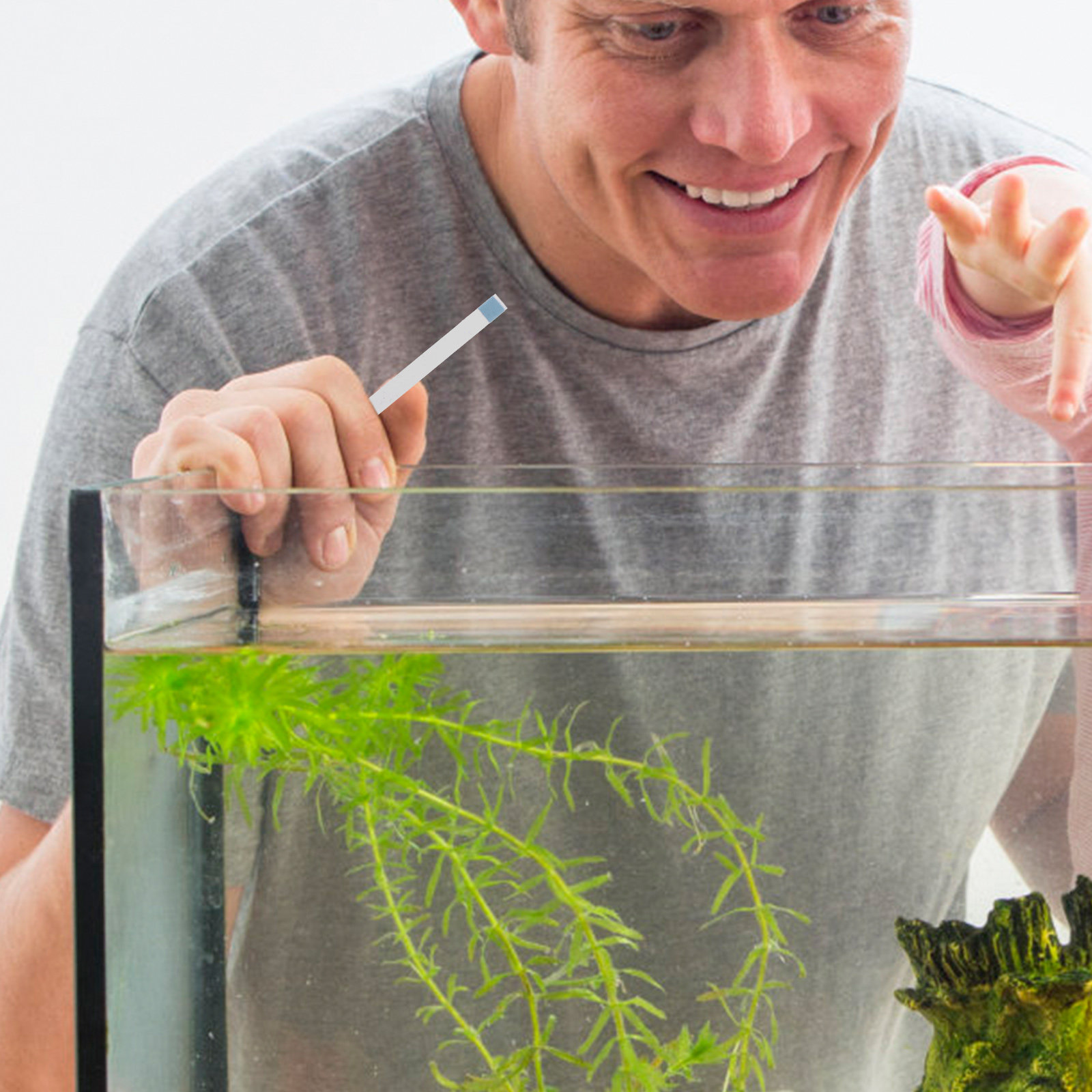 Swimming Pool Testing Strips H - Aquarium Fish In Pond review and price