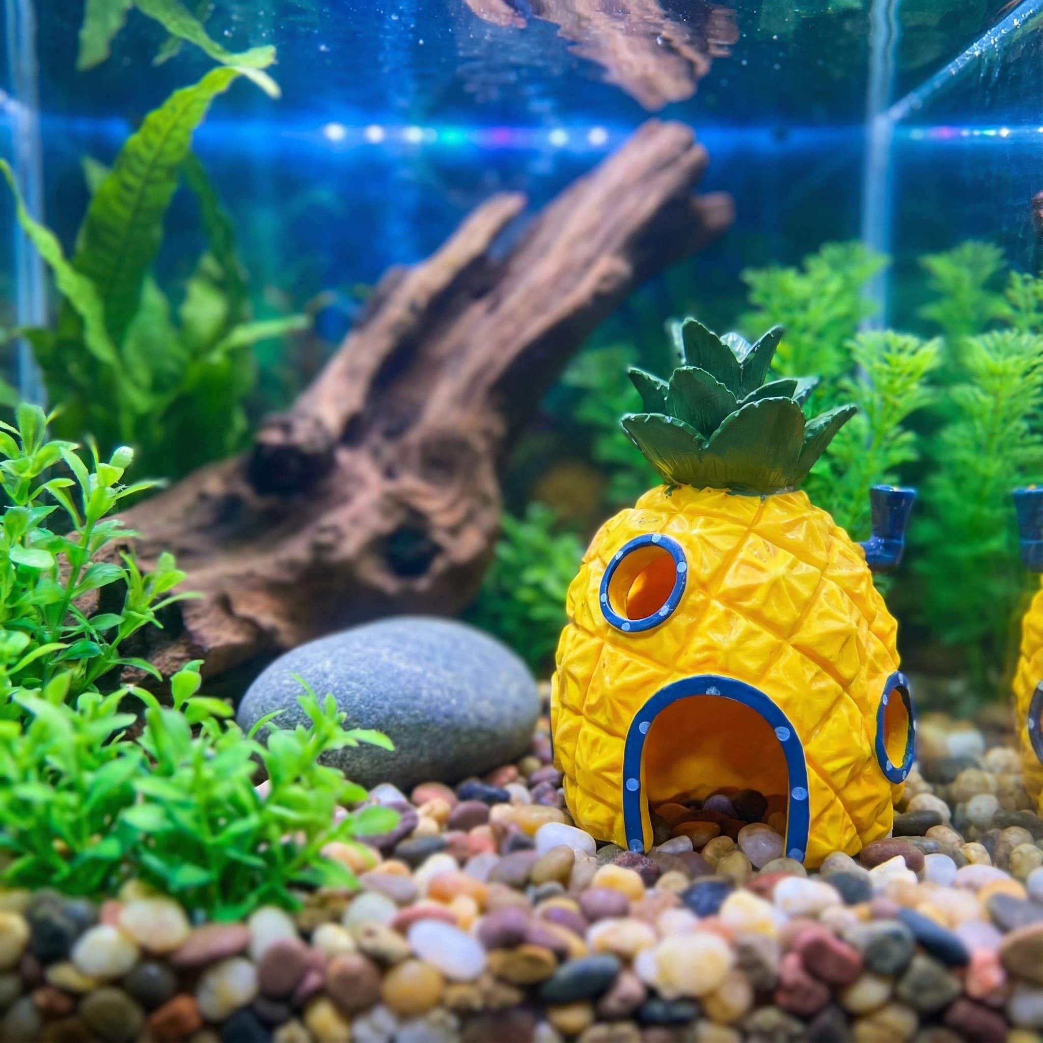 Pineapple House Aquarium Decor - Aquarium Fish Hiding Places review and price