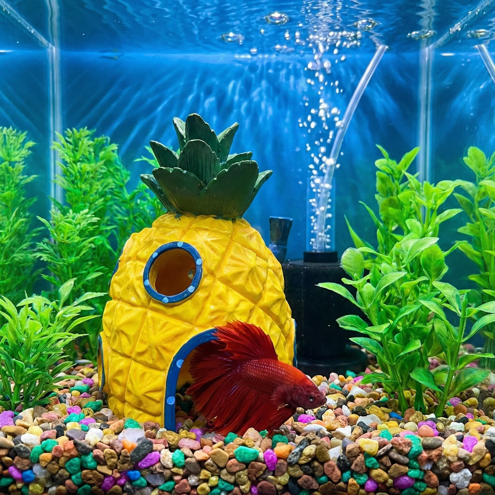 Pineapple House Aquarium Decor - Aquarium Fish Hiding Places review and price