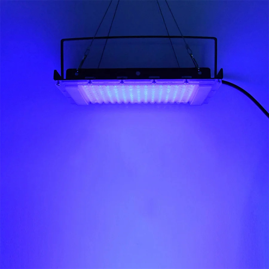 300W UV 395nm Black Light Ultr - Aquarium Fish Poster review and price