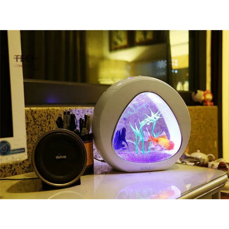 SUNSUN acrylic aquarium ecolog - Aquarium Fish Big Size review and price