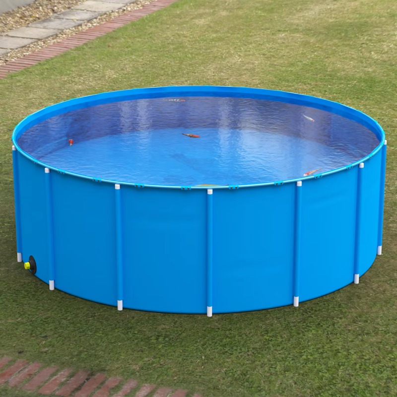 Wholesale Custom Outdoor Large - Aquarium Fish Big Size review and price