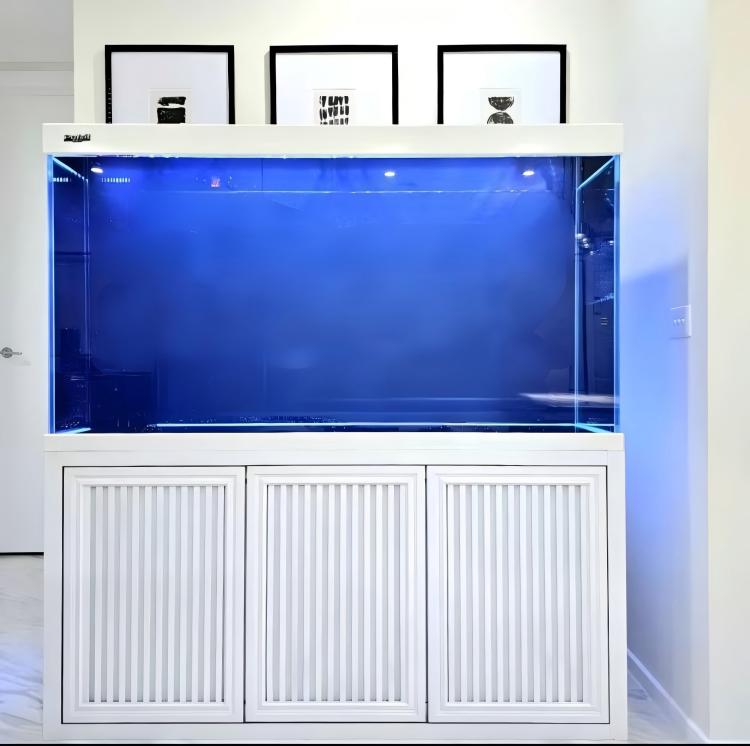Big Size Aquarium Fish Tank La - Aquarium Fish Big Size review and price